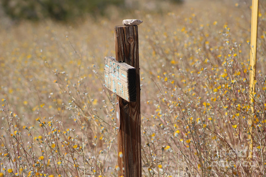 Rock on Country Sign Coachella Valley Wildlife Preserve Photograph by Colleen Cornelius
