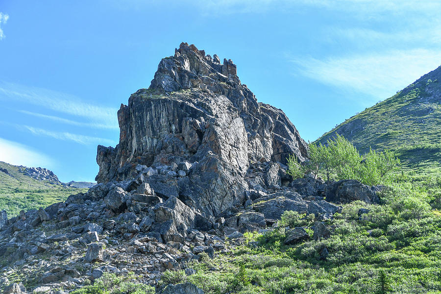 Rock Outcropping Denali Photograph By Barbara Embick Fine Art America