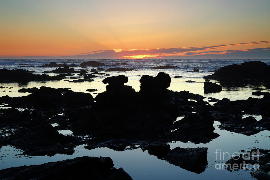 Rock Outcrops at Low Tide at Sunset Portugal Photograph by James Brunker