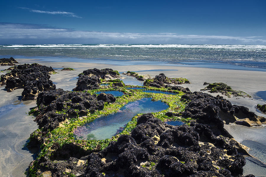 Rock pools, New Zealand Photograph by Photograph by Michael Schwab