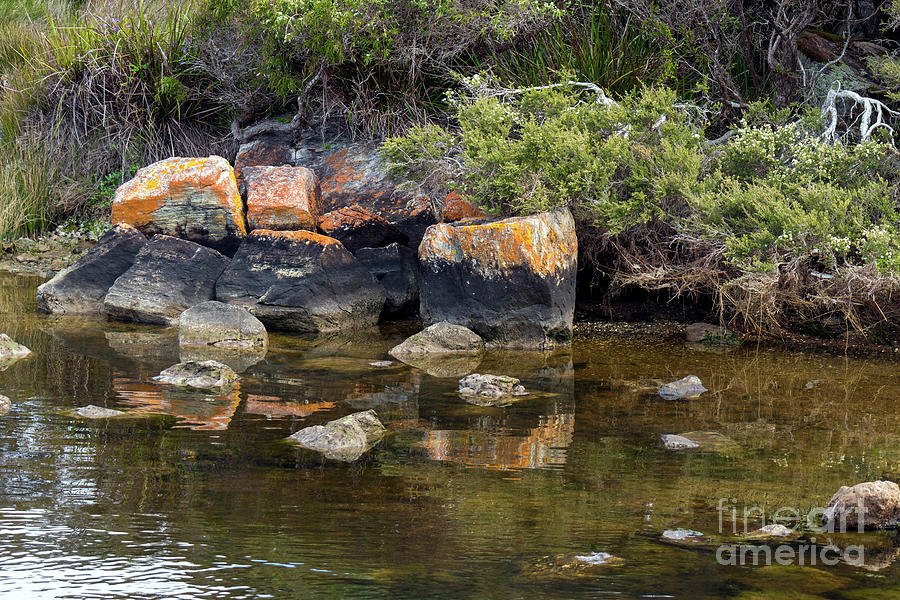 Rock Reflections at Blackwood Rivermouth, Augusta, Western Austr Photograph by Elaine Teague