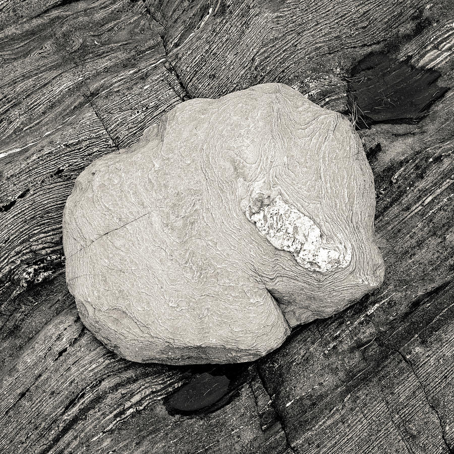 Rock Ripples Photograph