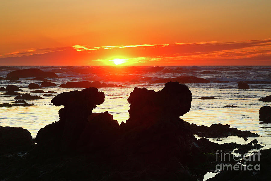 Rock Sentinals at Sunset Portugal Photograph by James Brunker