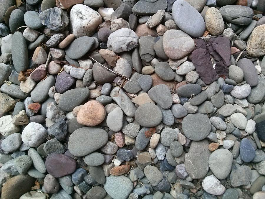 Rock, Stones and Gravel.oh... My Photograph by Vickie G Buccini