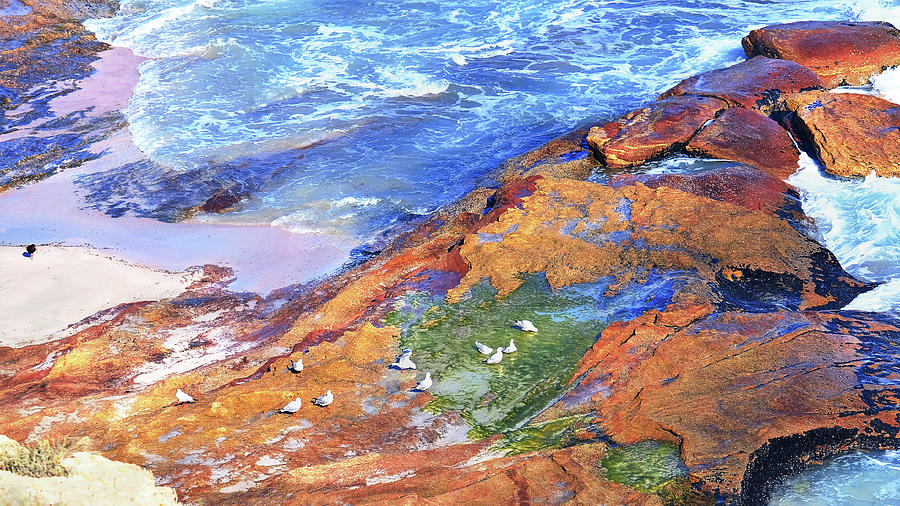 Rock Sunning on Talia Beach Photograph by Lexa Harpell