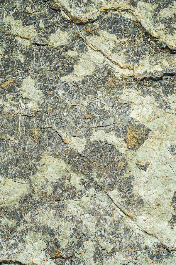 Rock surface veined with white layers Photograph by Perry Van Munster