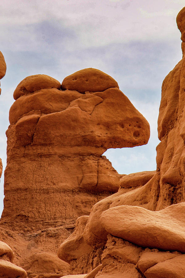 Rock that looks like a nose in Goblin valley Photograph by Jeff Swan