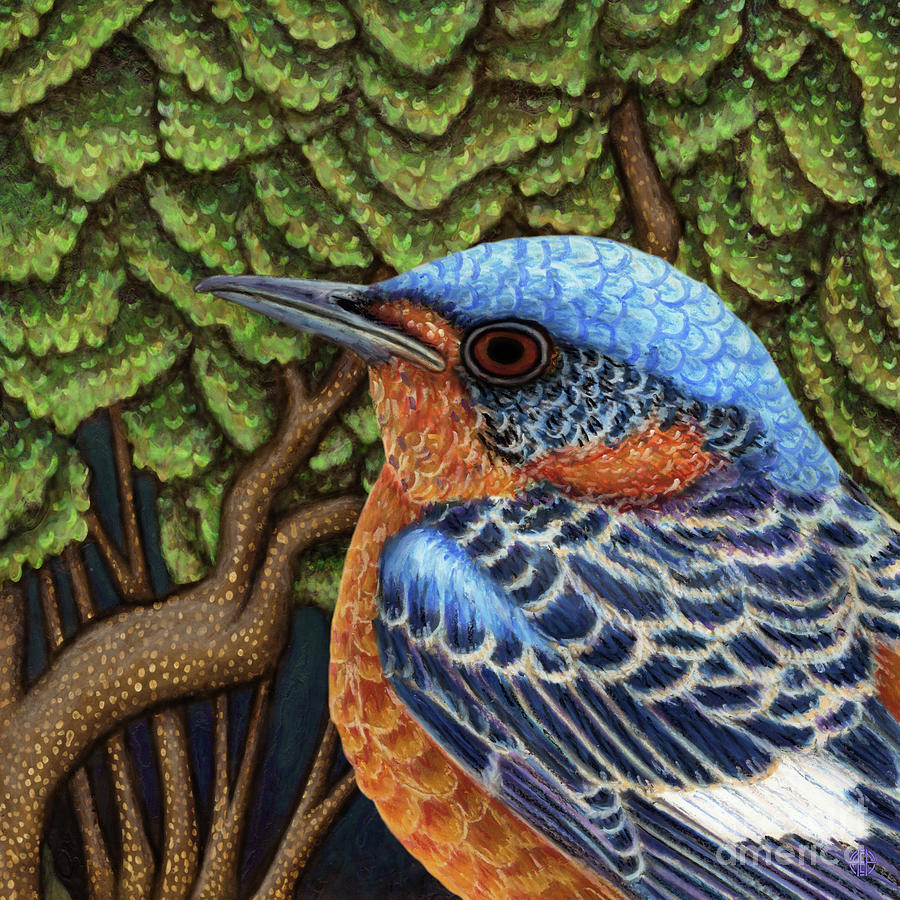 Rock Thrush Forest Painting by Amy E Fraser