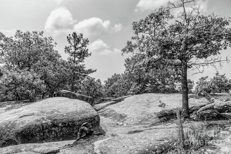 Rock Top Elephant Rock Grayscale Photograph by Jennifer White