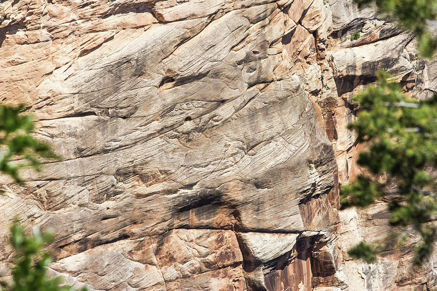 Rock Wall Grand Canyon Photograph