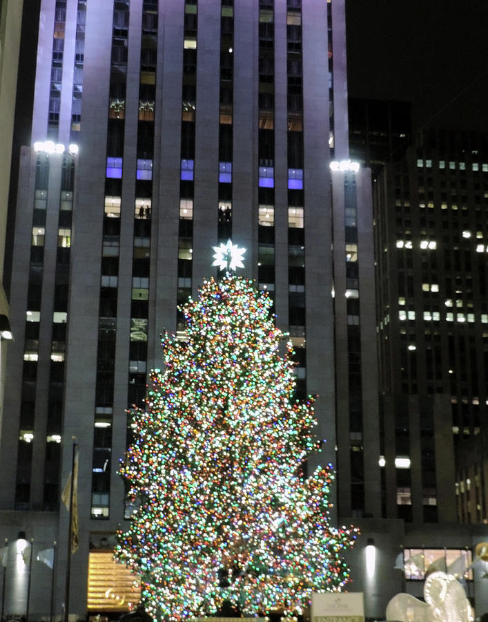 Rockefeller Center Christmas Tree Photograph by Leesie Annie Designs ...