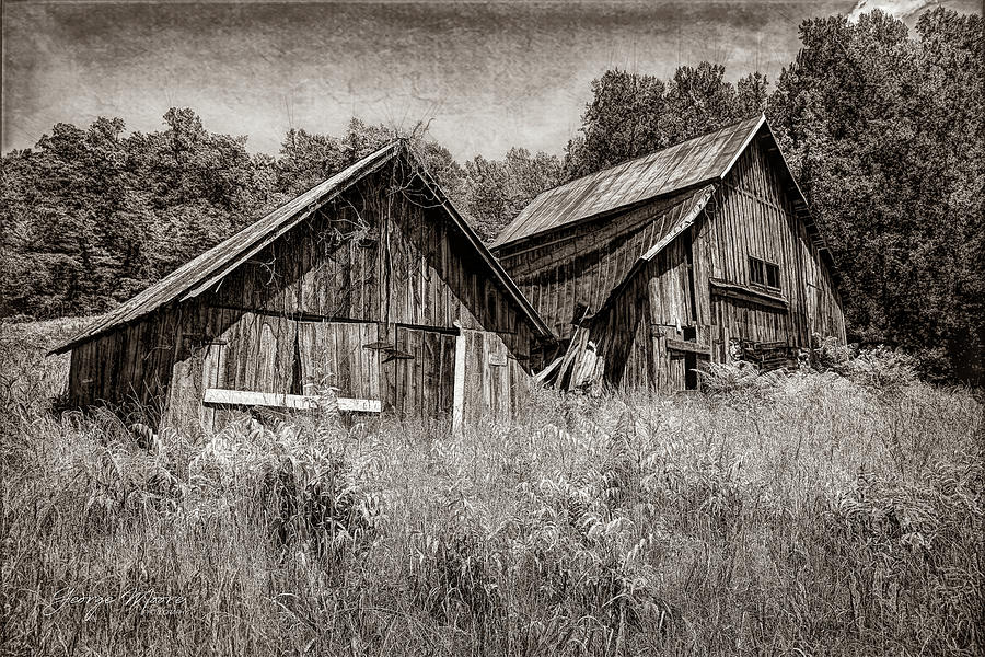 Rockfish River Barns Photograph by George Moore