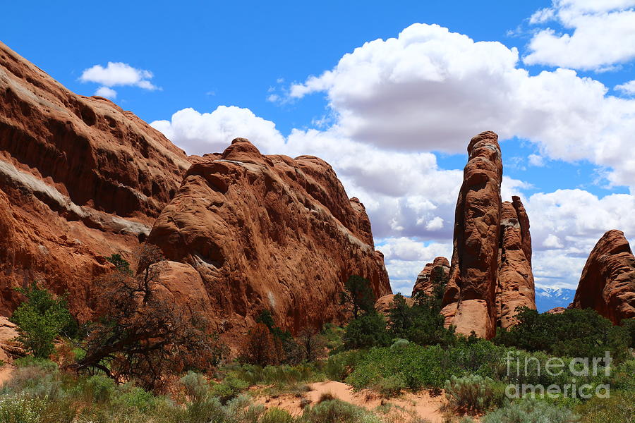 Arches National Park Photograph - Rockformation At Devils Garden by Christiane Schulze Art And Photography
