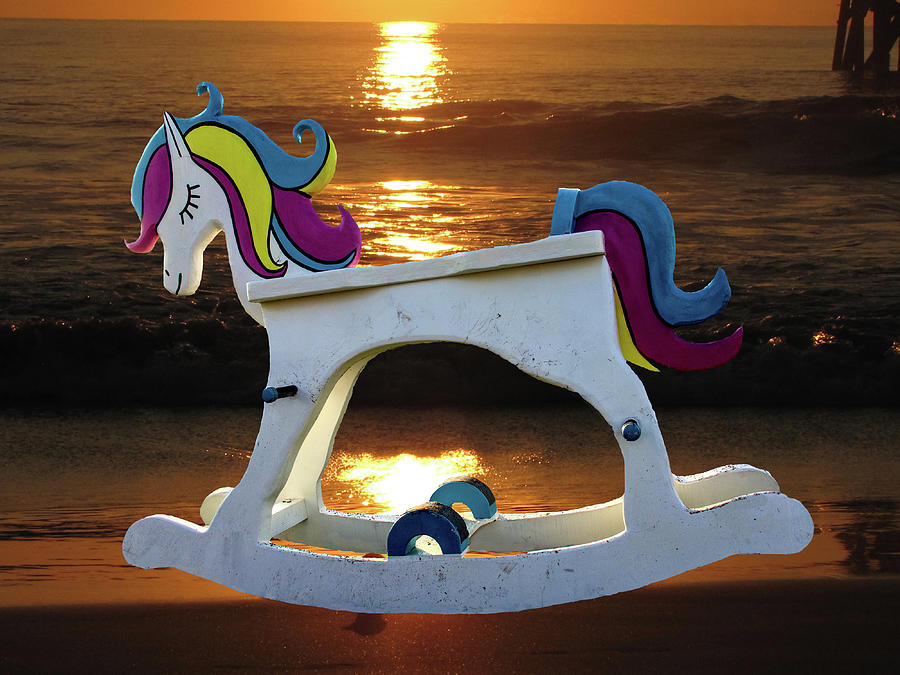 Rocking Horse on the beach Photograph by Christopher Mercer