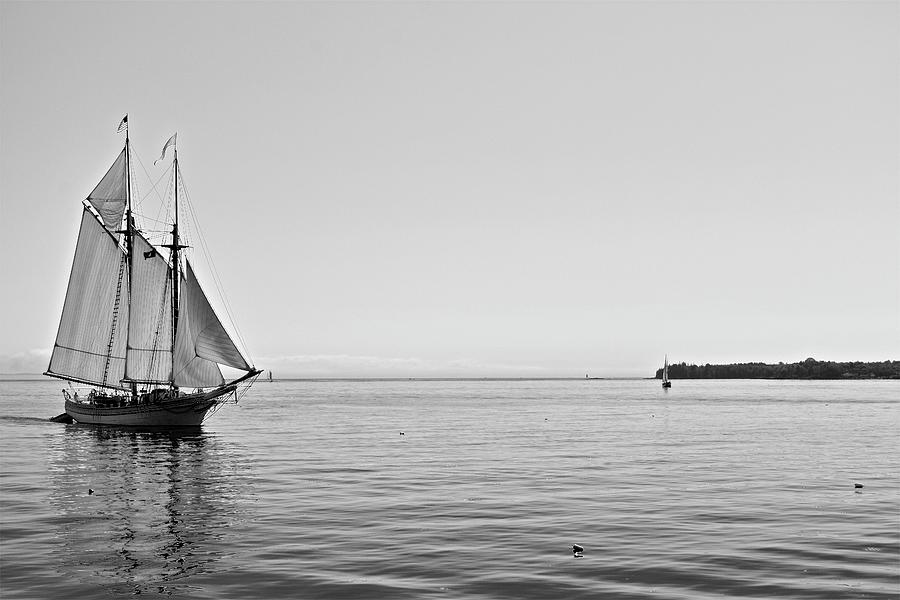 Rockland Sail Boat Photograph by Corinne Rhode