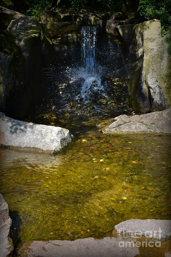 Rockpool - Japanese Garden - Hamburg Photograph by Yvonne Johnstone