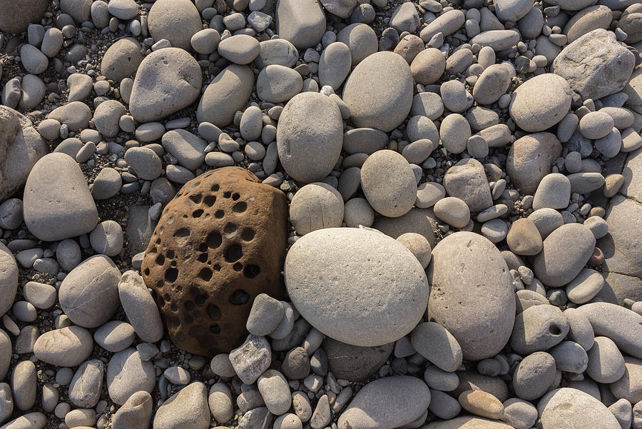 Rocks and pebbles Photograph by Mike Fusaro