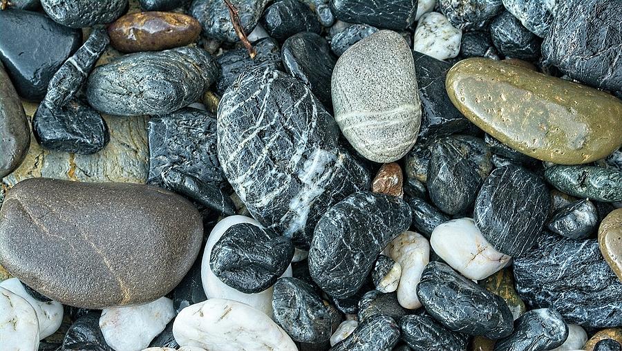 Rocks and Pebbles Photograph by Steven Ralser