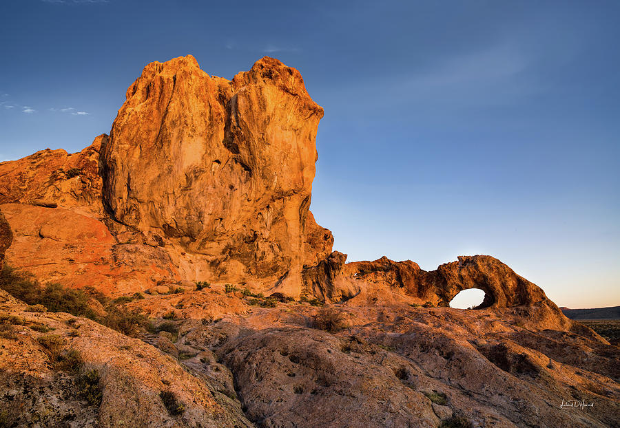 Rocks and Rings Nevada Photograph by Leland D Howard