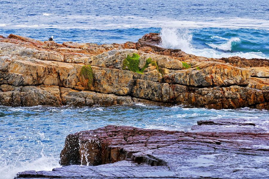 Rocks and Sea Photograph by Jeremy Hayden