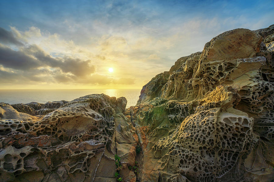 Rocks eroded by the wind in Populonia cliff Buca delle Fate. Pio Photograph by Stefano Orazzini