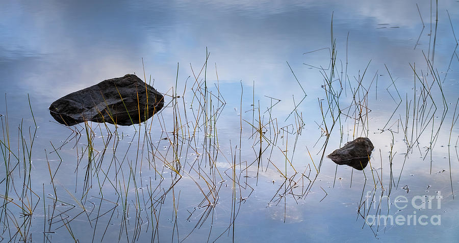 Rocks, Grass, Water and Reflections Photograph by Philip Preston