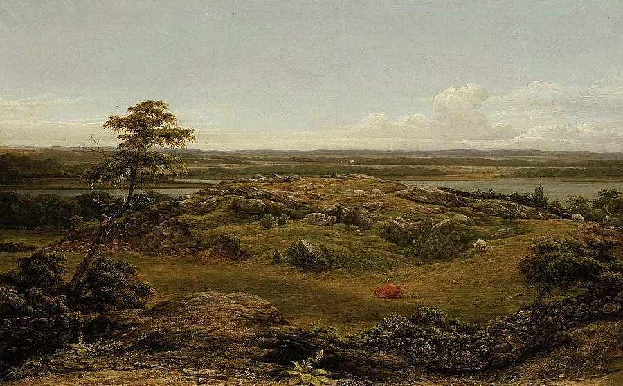 Rocks in New England Painting by Martin Johnson Heade