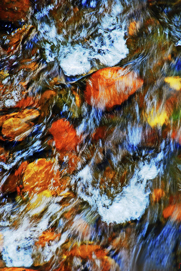 Rocks in stream Photograph by Bill Jonscher