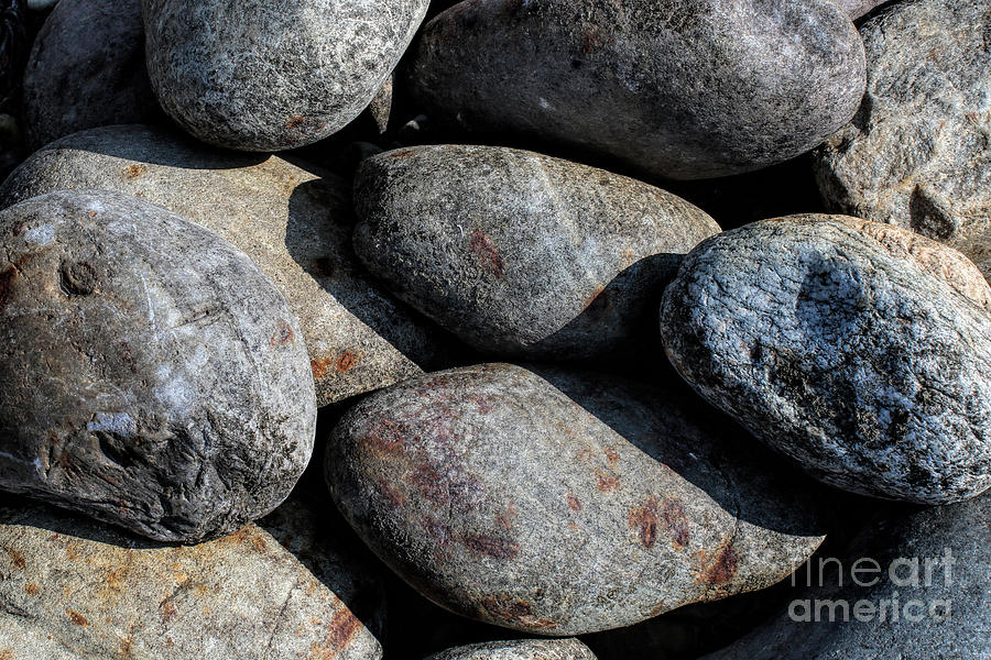 Still Life Photograph - Rocks in Wyoming by Rosanna Life