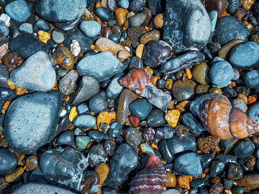 Rocks n Shells Photograph by Bitumen Obscura - Fine Art America