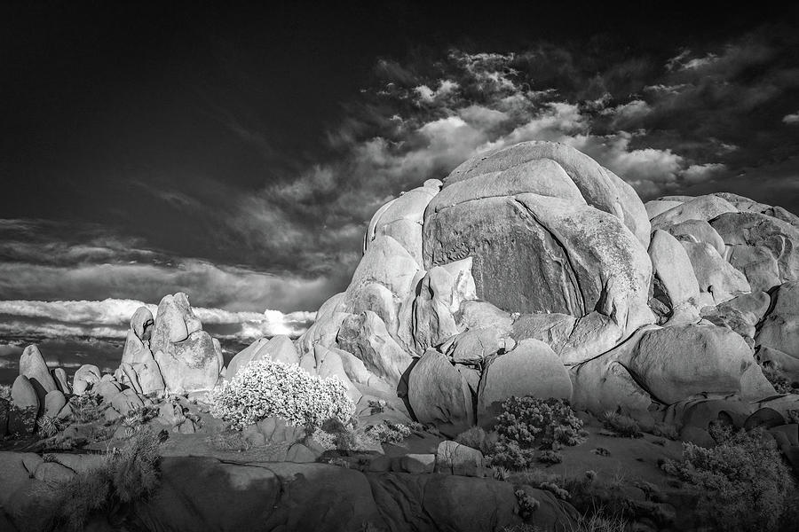 Rocks of Joshua Tree Infrared Photograph by Jerry Fornarotto