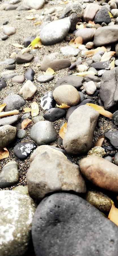 Rocks on the beach Photograph by Cherie Duran