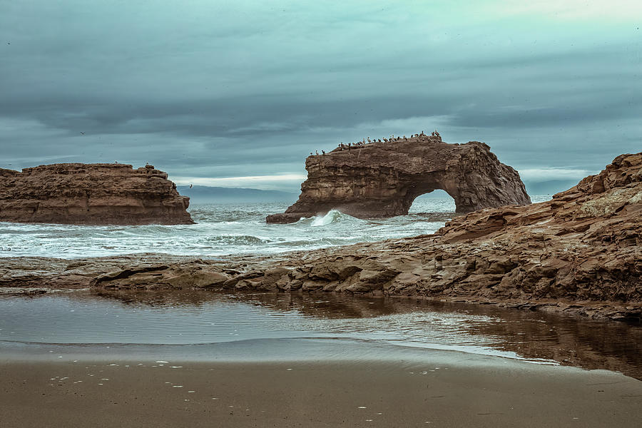 Rocks on the Beach Photograph by Lisa Malecki