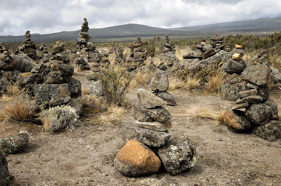 Rocks piled (cairns) on Shira Plateau, Kilimanjaro National Park, Lemosho trail Photograph by © Pascal Boegli