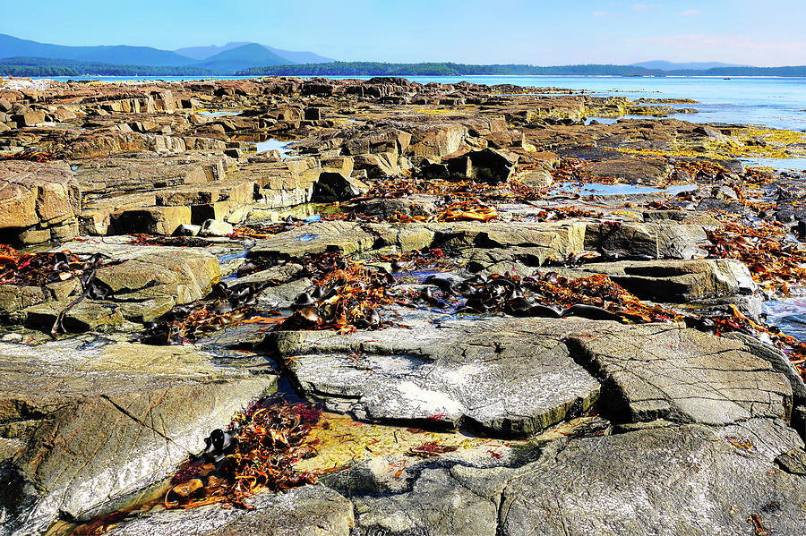 Rockscape of Fishers Point, Tasmania Photograph by Lexa Harpell