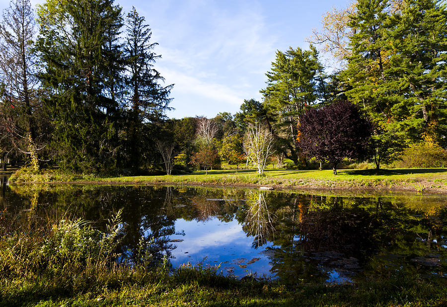 Rockwell Swamp In Mead Memorial Park, New Canaan, Connecticut 