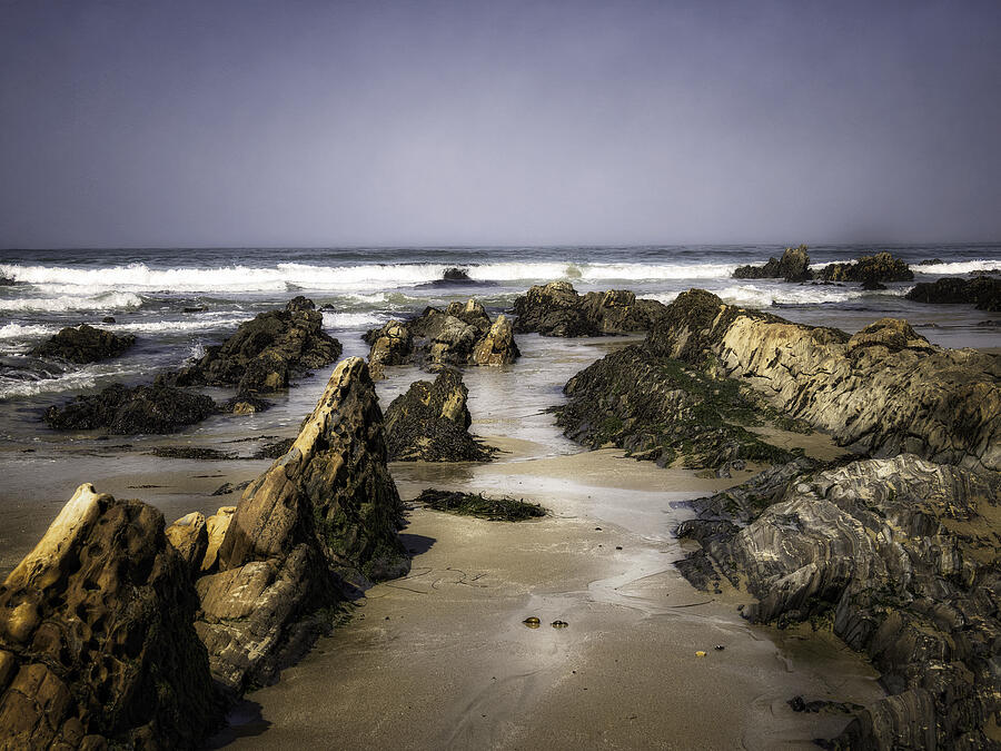 Rocky Beach Photograph by Carrie Hannigan Rocky Beach Photograph by Carrie Hannigan