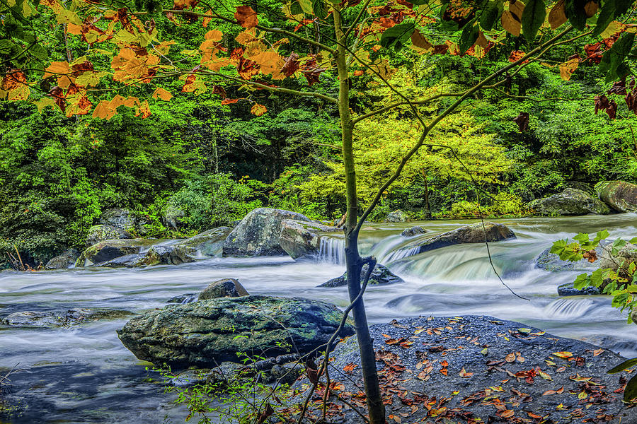 Fall Photograph - Rocky Broad River in October by Randall Nyhof