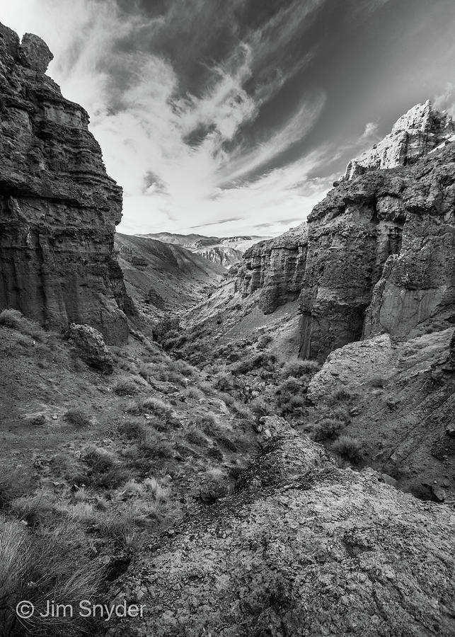 Rocky Canyon in mono Photograph by Jim Snyder