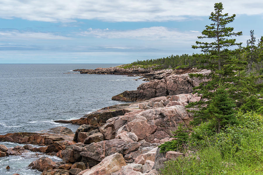 Rocky Coast of Cape Breton Island Photograph by Anthony George Visuals ...