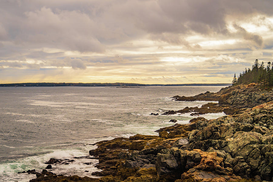 rocky coastline of Acadia National Park, Maine Photograph by Ann Moore