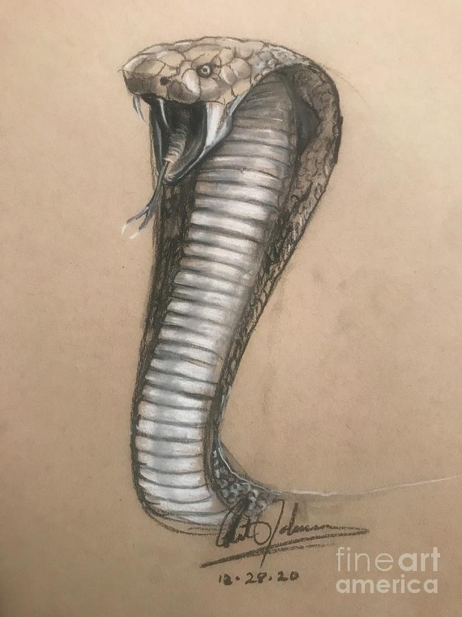 Portrait Drawing - Rocky cobra by Art Johnson