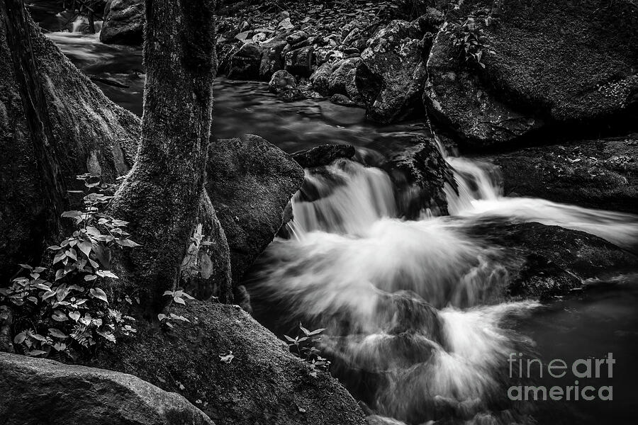 Rocky Fork in Grayscale Photograph by Shelia Hunt