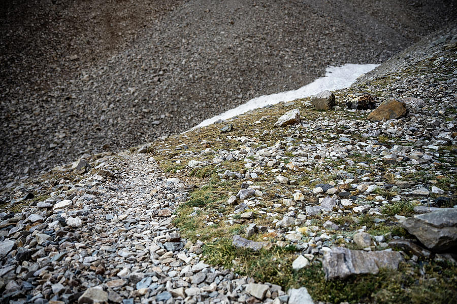 Rocky Glacier Trail Photograph by Kelly VanDellen