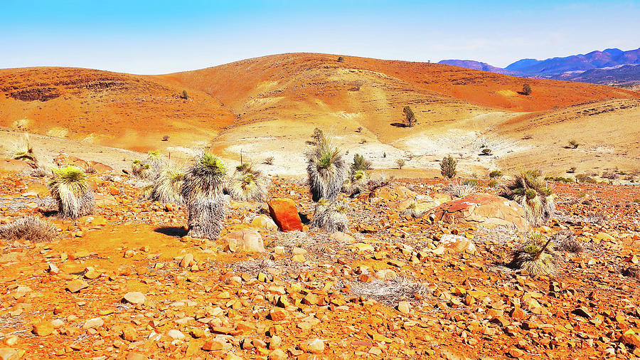 Rocky Landscape - Flinders Ranges Photograph by Lexa Harpell