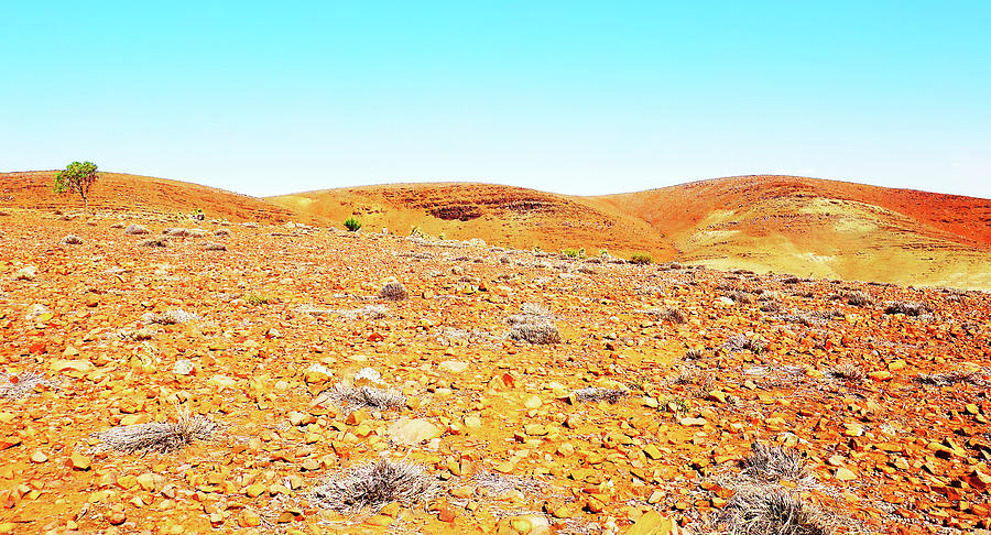 Rocky Landscape in the Flinders Ranges Photograph by Lexa Harpell