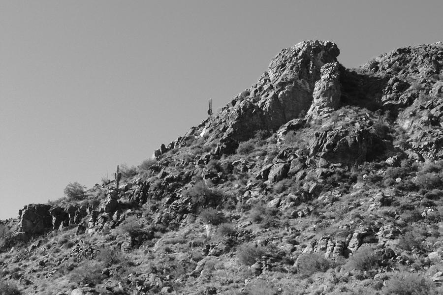 Rocky Landscape With Saguaro Cacti Photograph by Bill Tomsa