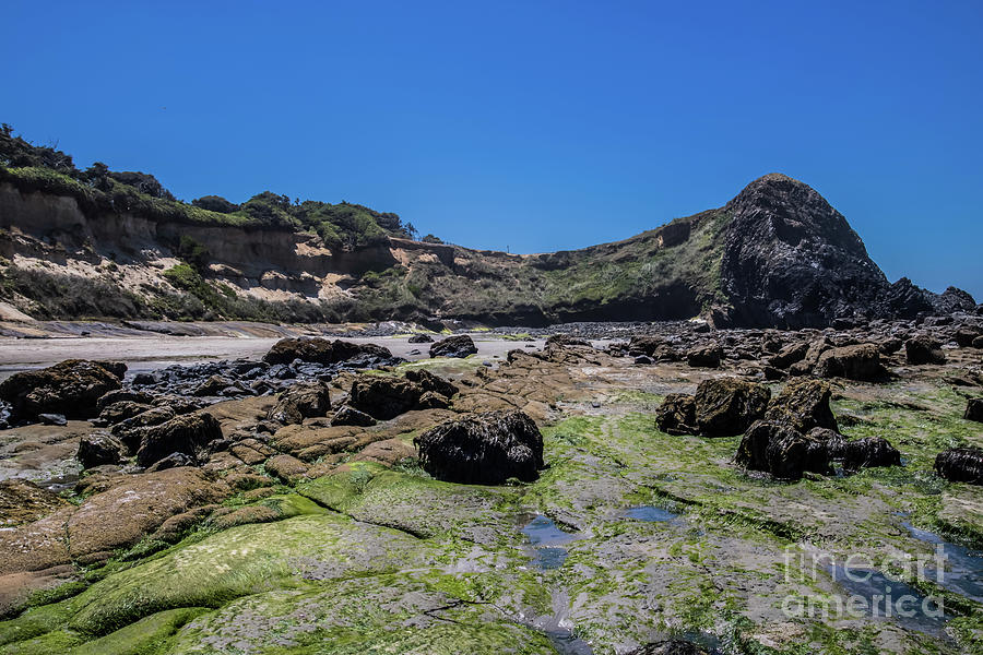 Rocky Low Tide Photograph by Suzanne Luft