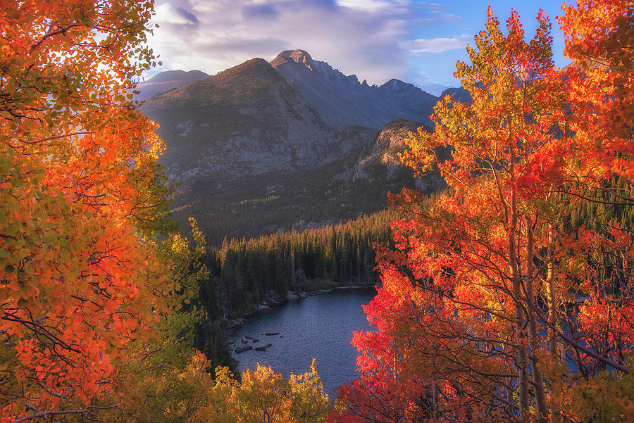 Rocky Mountain Autumn Photograph