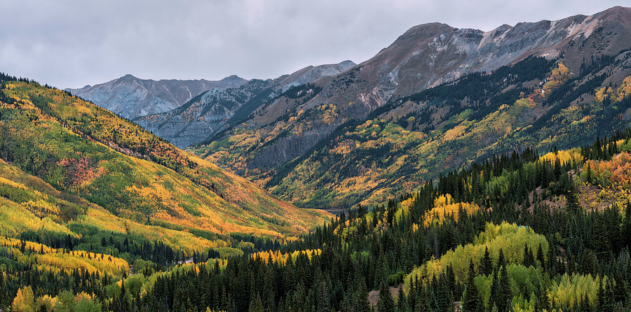 Rocky Mountain Autumn Photograph by Loree Johnson